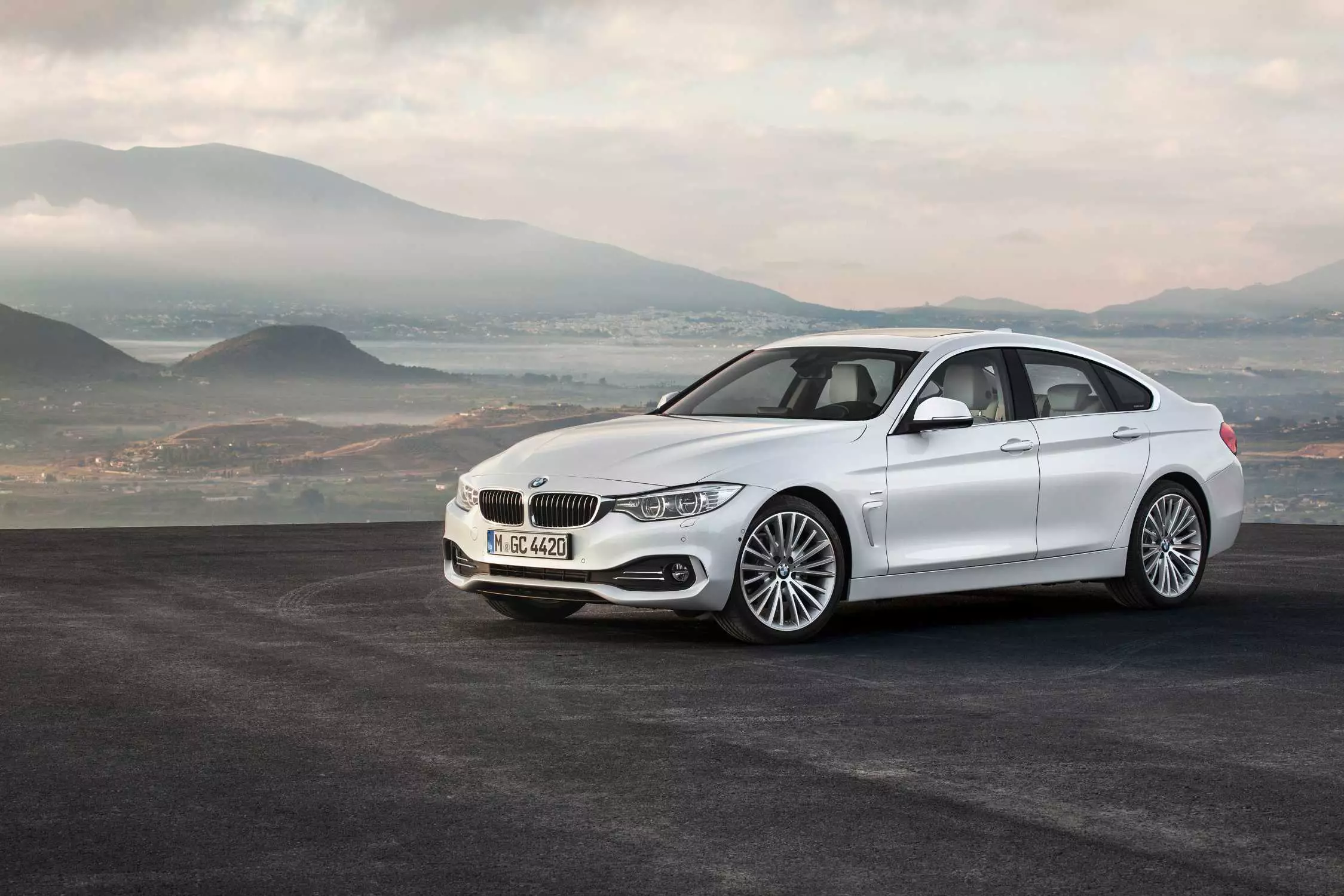 Entsha BMW 4 Series GranCoupe 10262_4