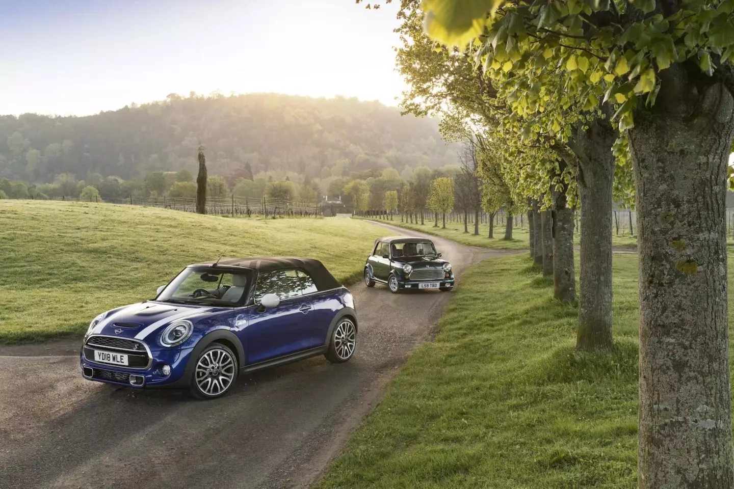 Mini Cabriolet 25 Sal 2018