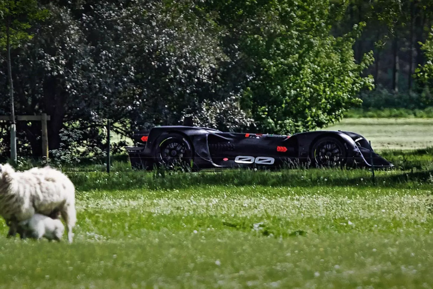 Robocar Roborace Goodwood 2018