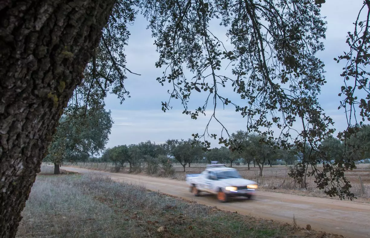 IPeugeot 504 Frontier