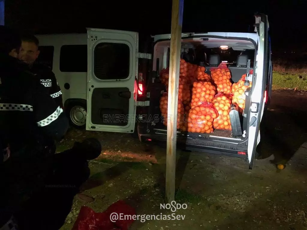 Robo de naranjas España 2018