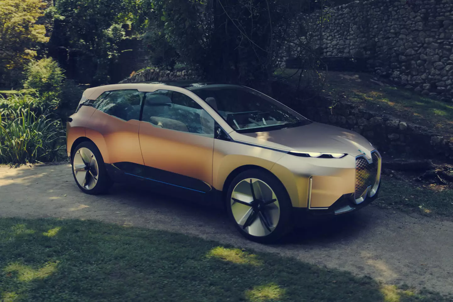 برنامج BMW Vision iNEXT