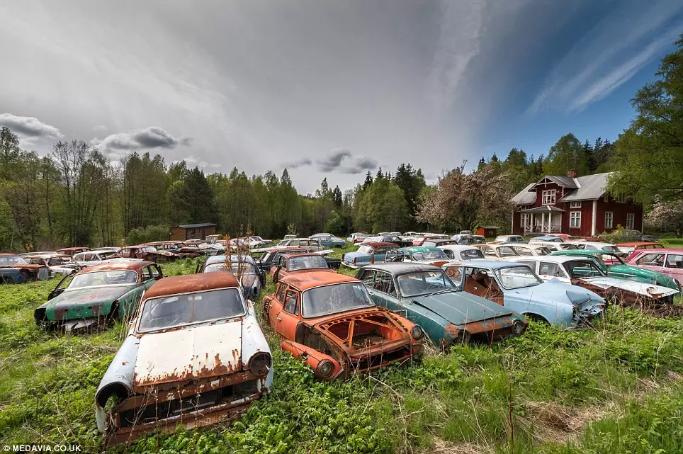 Auto abbandonate nella foresta a Bastnas, Svezia