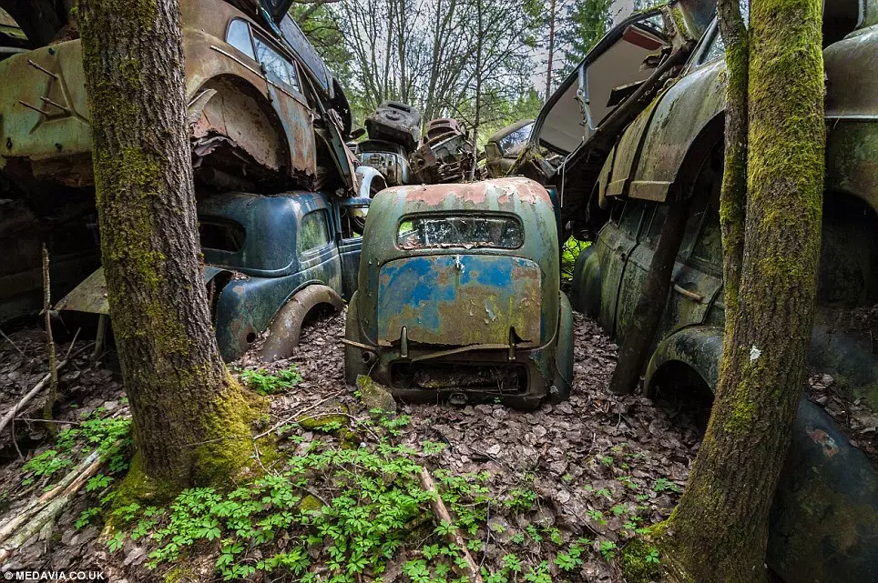 Напуштени автомобили во шума во Бастнас, Шведска