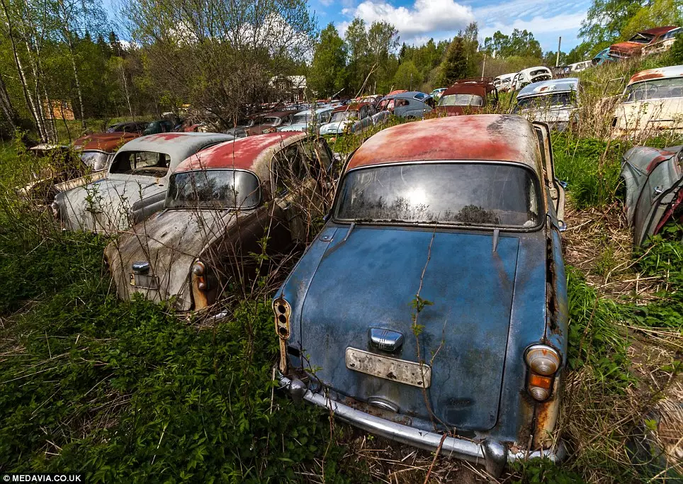 बस्तनास, स्वीडन में वन में परित्यक्त कारें