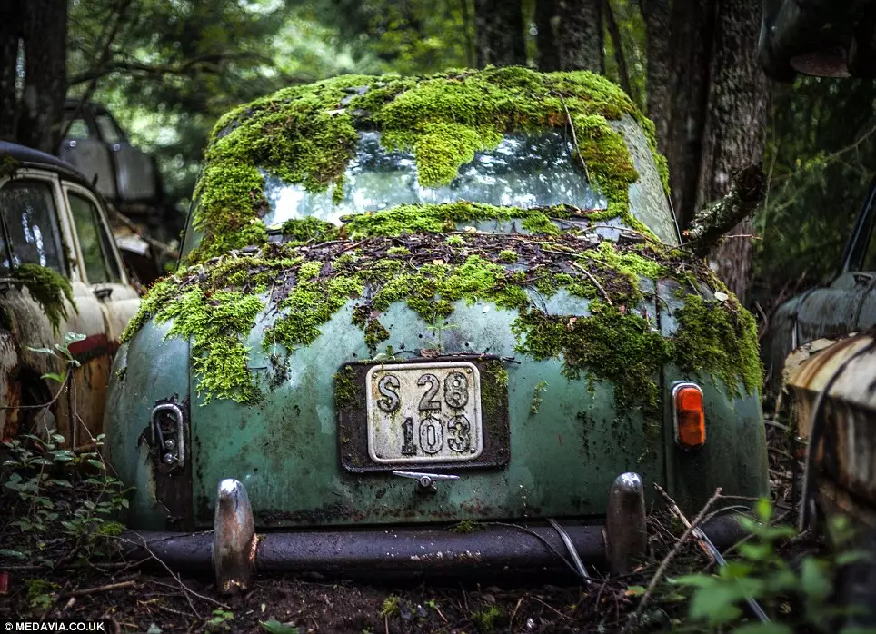 Изоставени автомобили в гората в Бастнас, Швеция