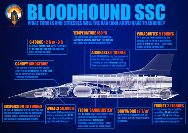 SSC bloodhound (9)