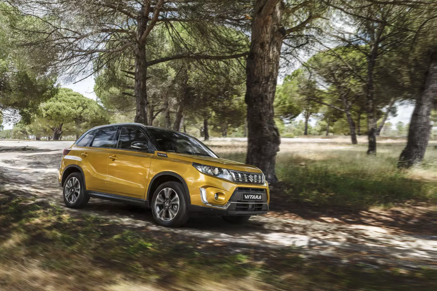 Suzuki Vitara rok 2019