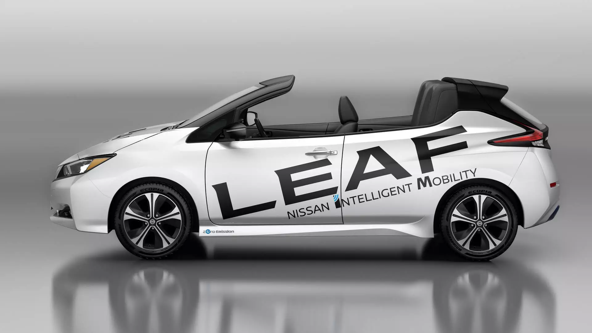 Nissan Leaf Vhura Mota 2018