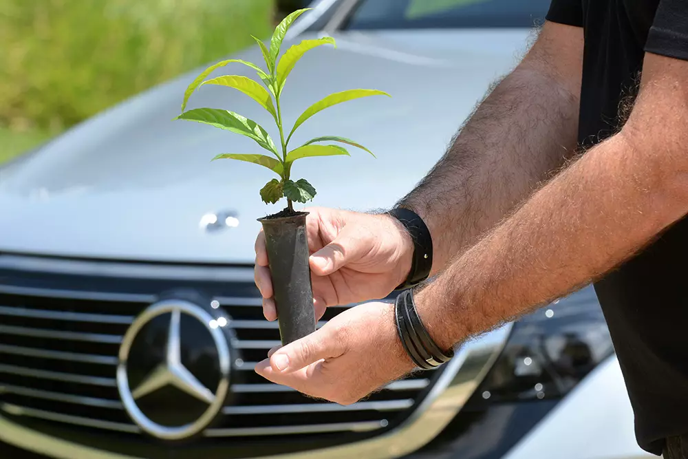 Progetto forestale Mercedes-Benz