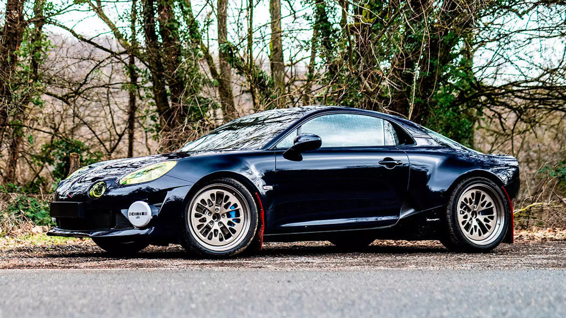 uharibifu wa alpine-a110