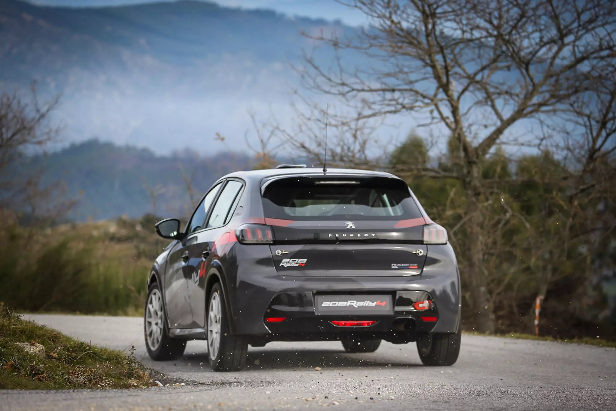 Peugeot 208 Rally 4