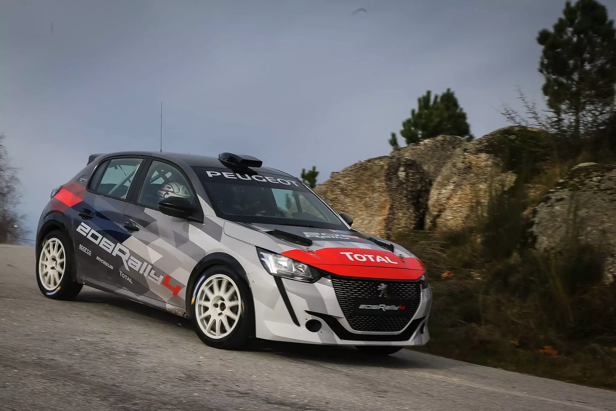 IPeugeot 208 R4