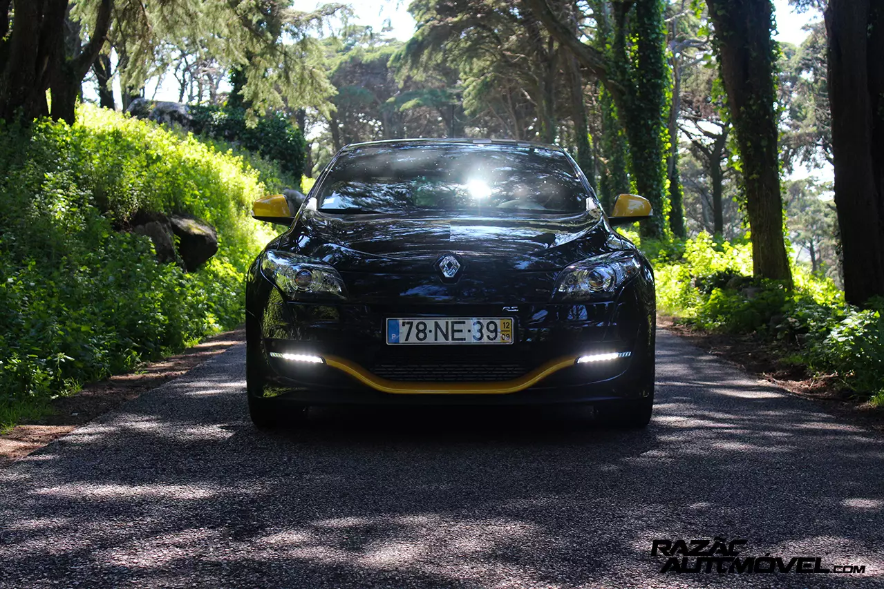 Renault Mégane RS RB7 synagy: öküz söweş güni | Awtoulag ýazgysy 22057_8