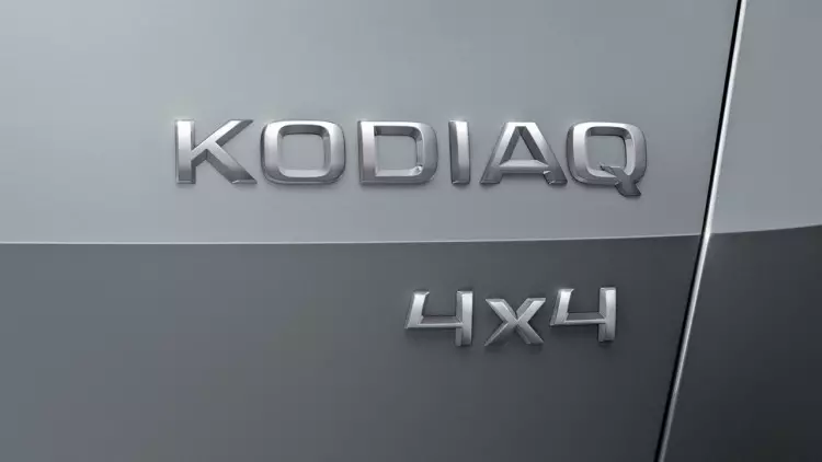 kodi-kodiq1