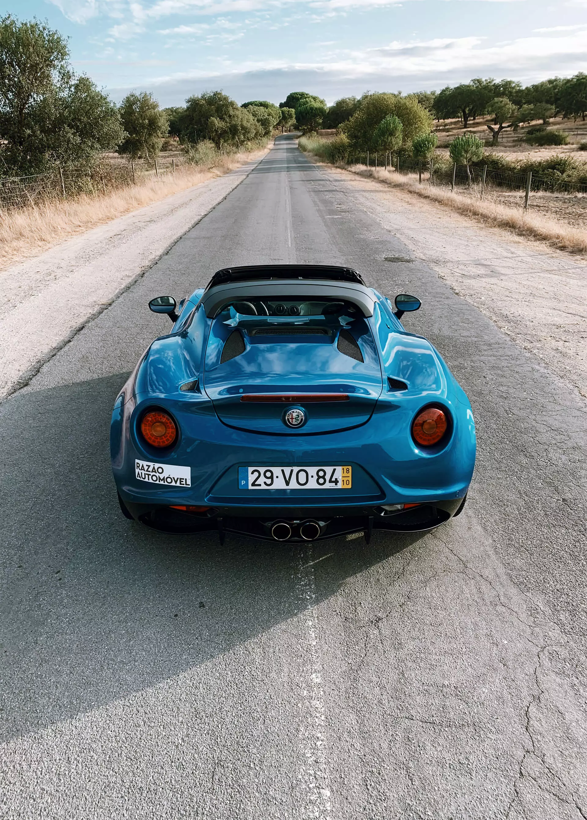 Alfa Romeo 4C zirneklis