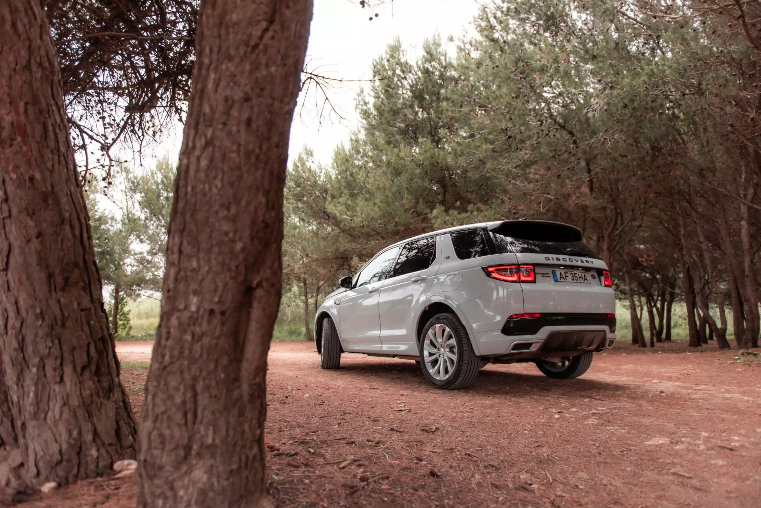 Land Rover Discovery Sport P300e S.