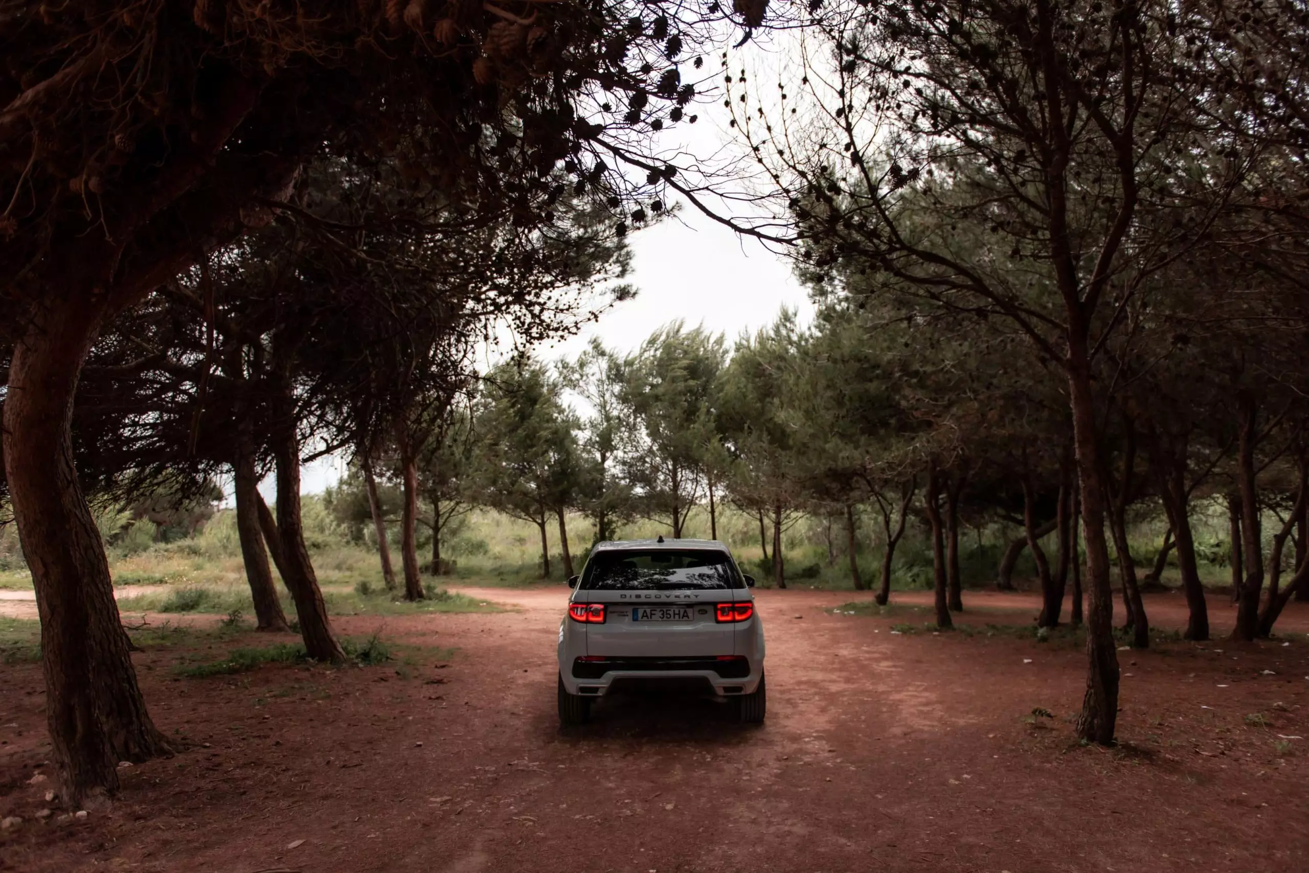 Land Rover Discovery Sport P300e S.