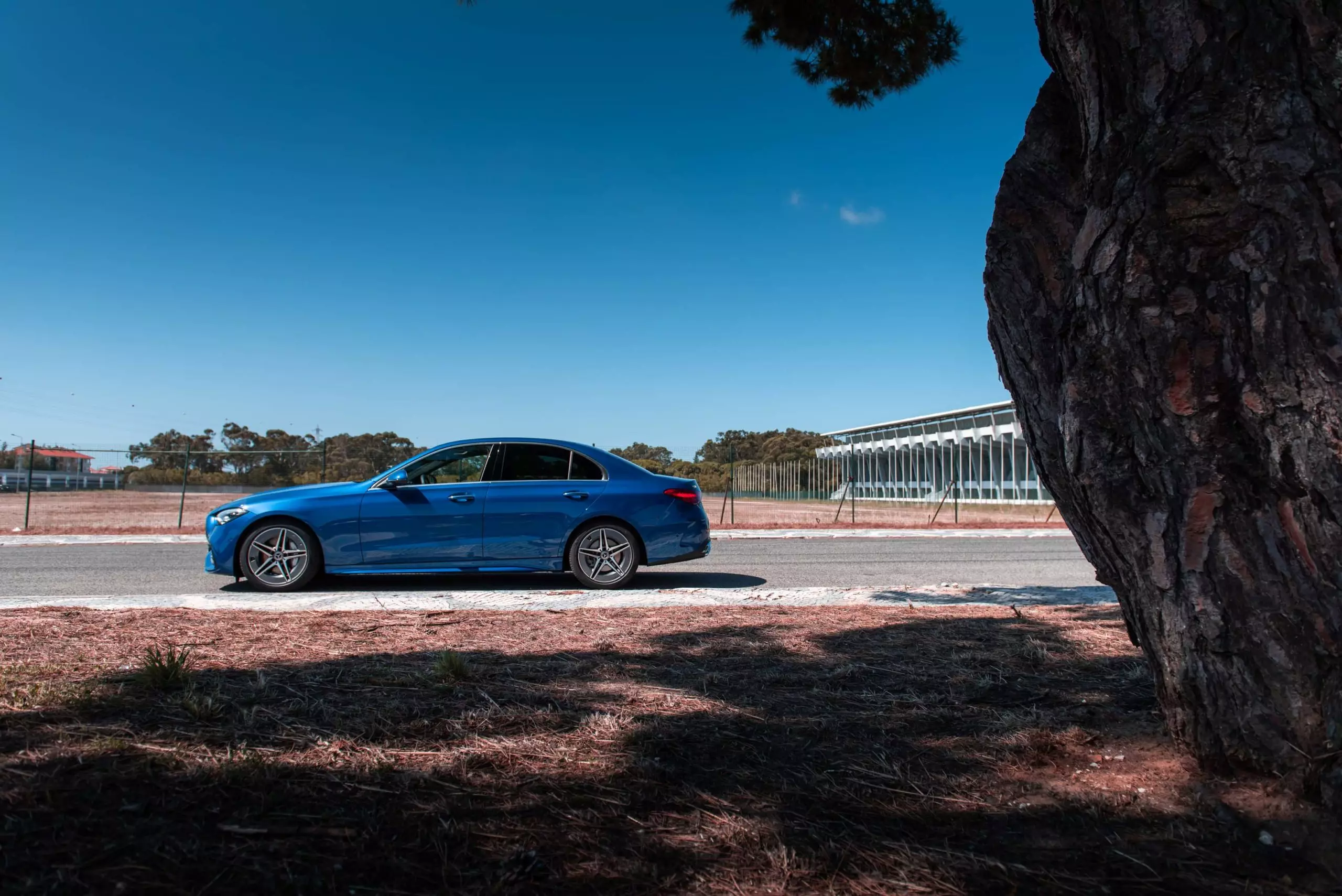 Mercedes-Benz C-Serisi C220d 2