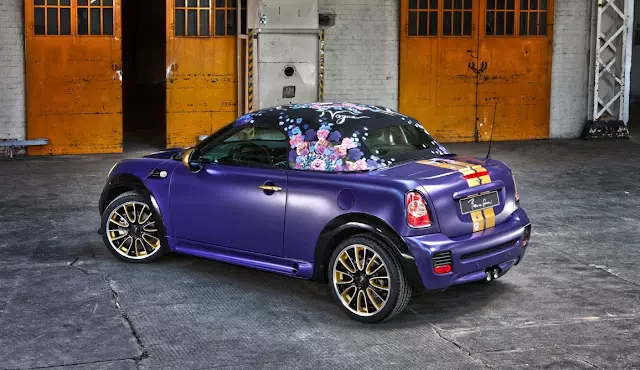 MINI Roadster 2012 zindywidualizowany przez Francę Sozzani 4538_2