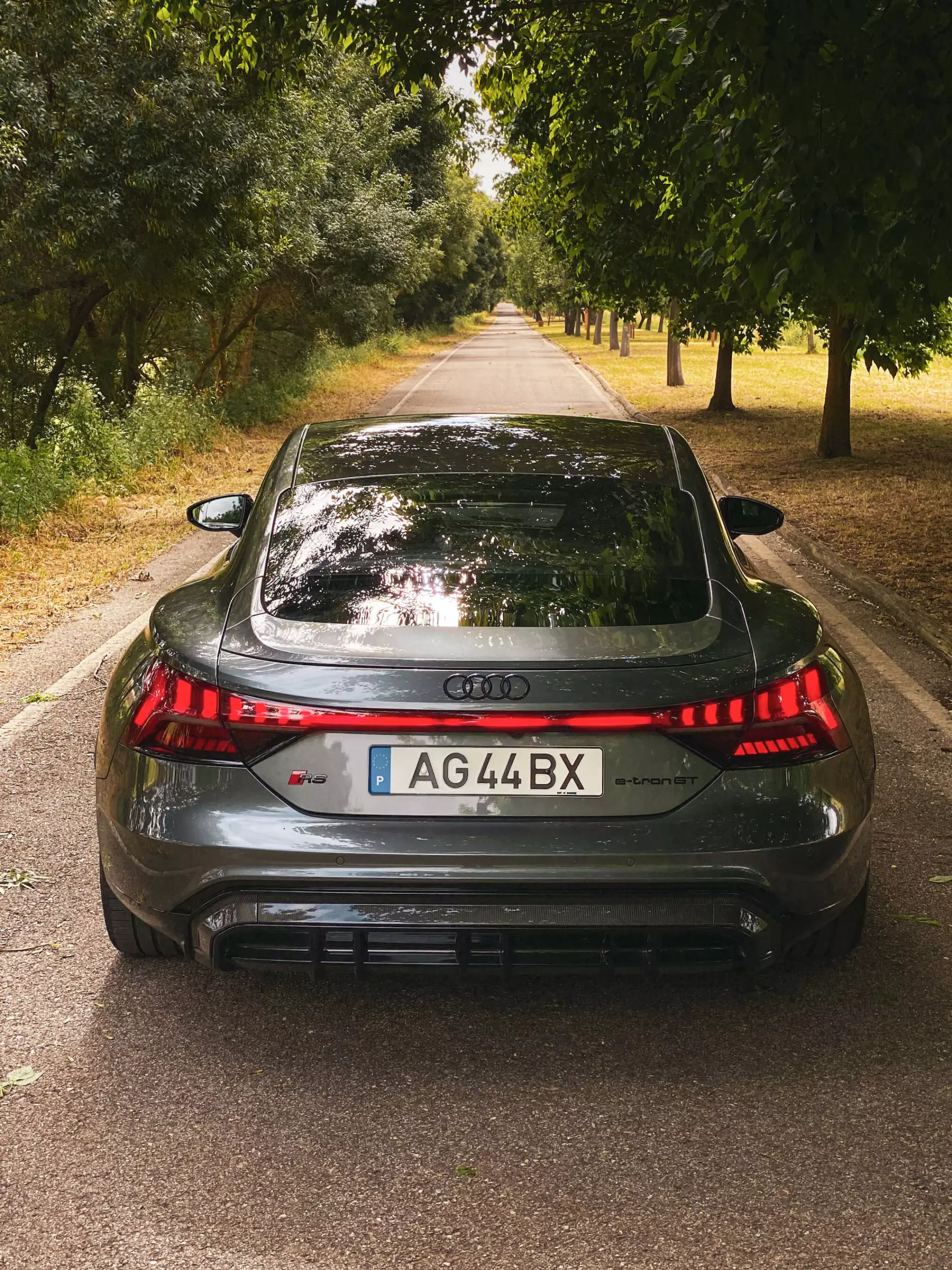 Audi RS E-tron GT