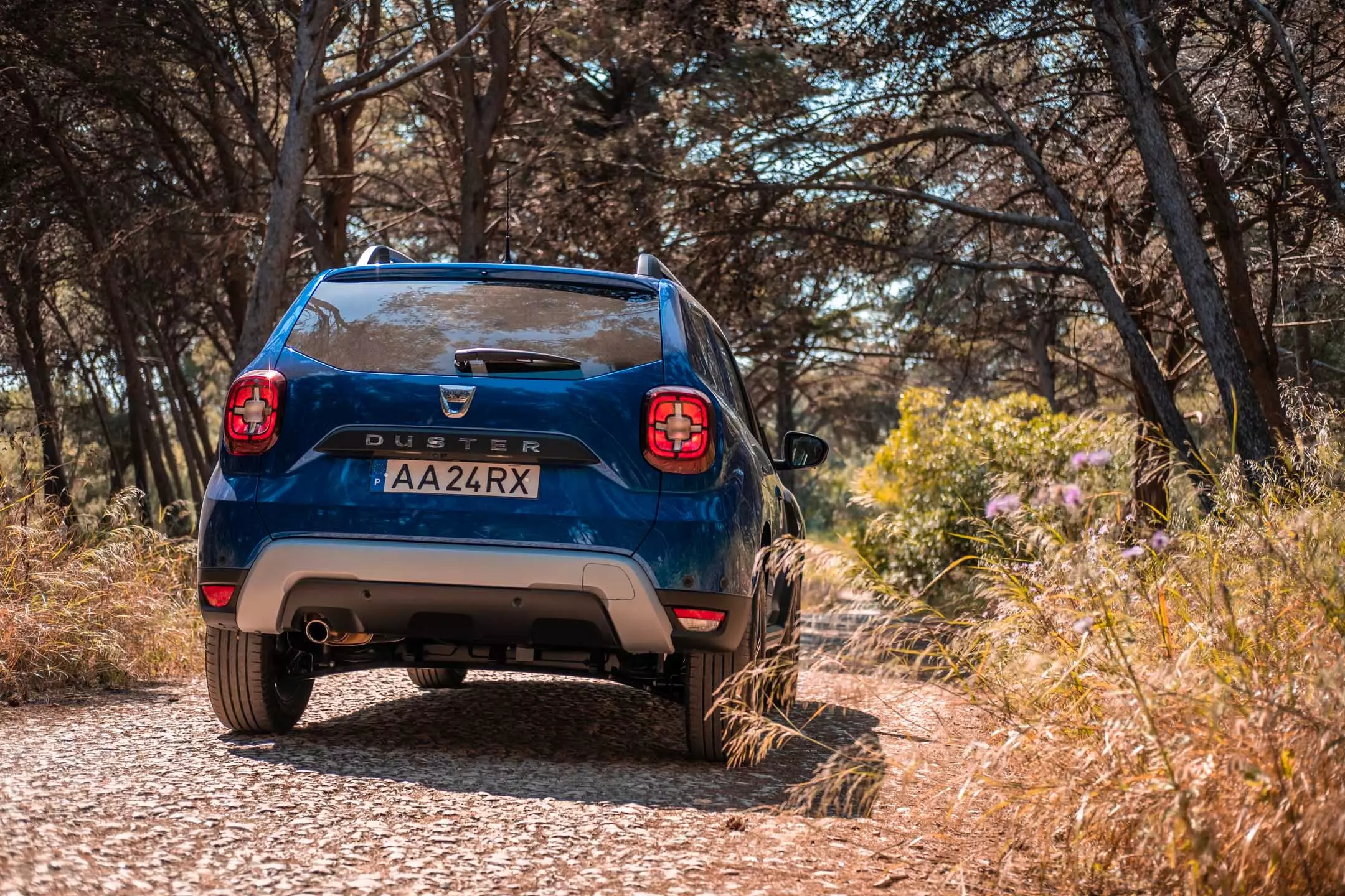 Dacia Duster ווס. דאַסטער לפּג