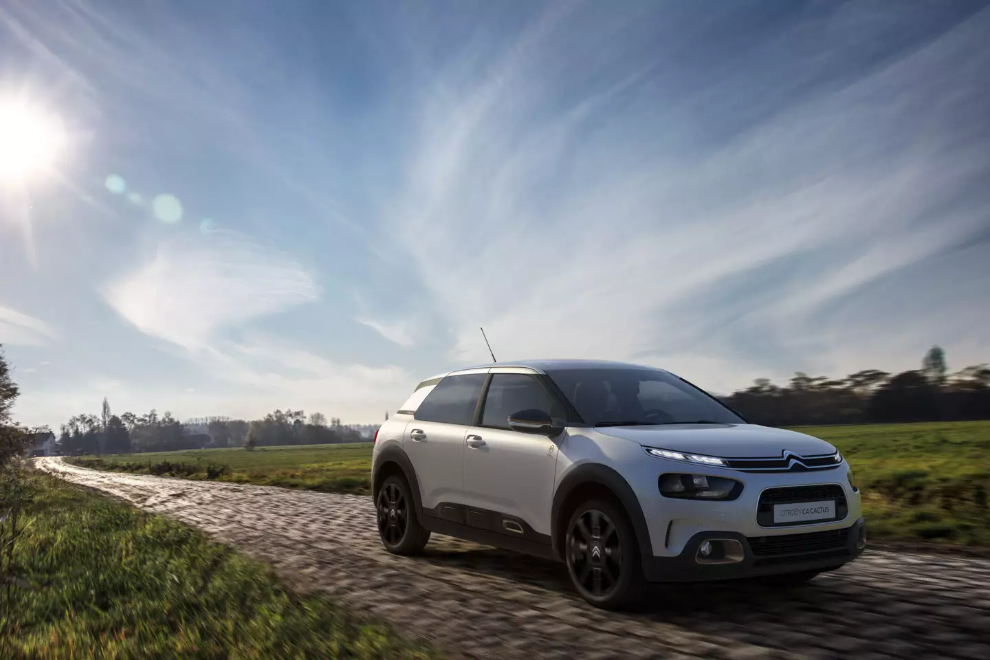 Citroën C4 Cactus