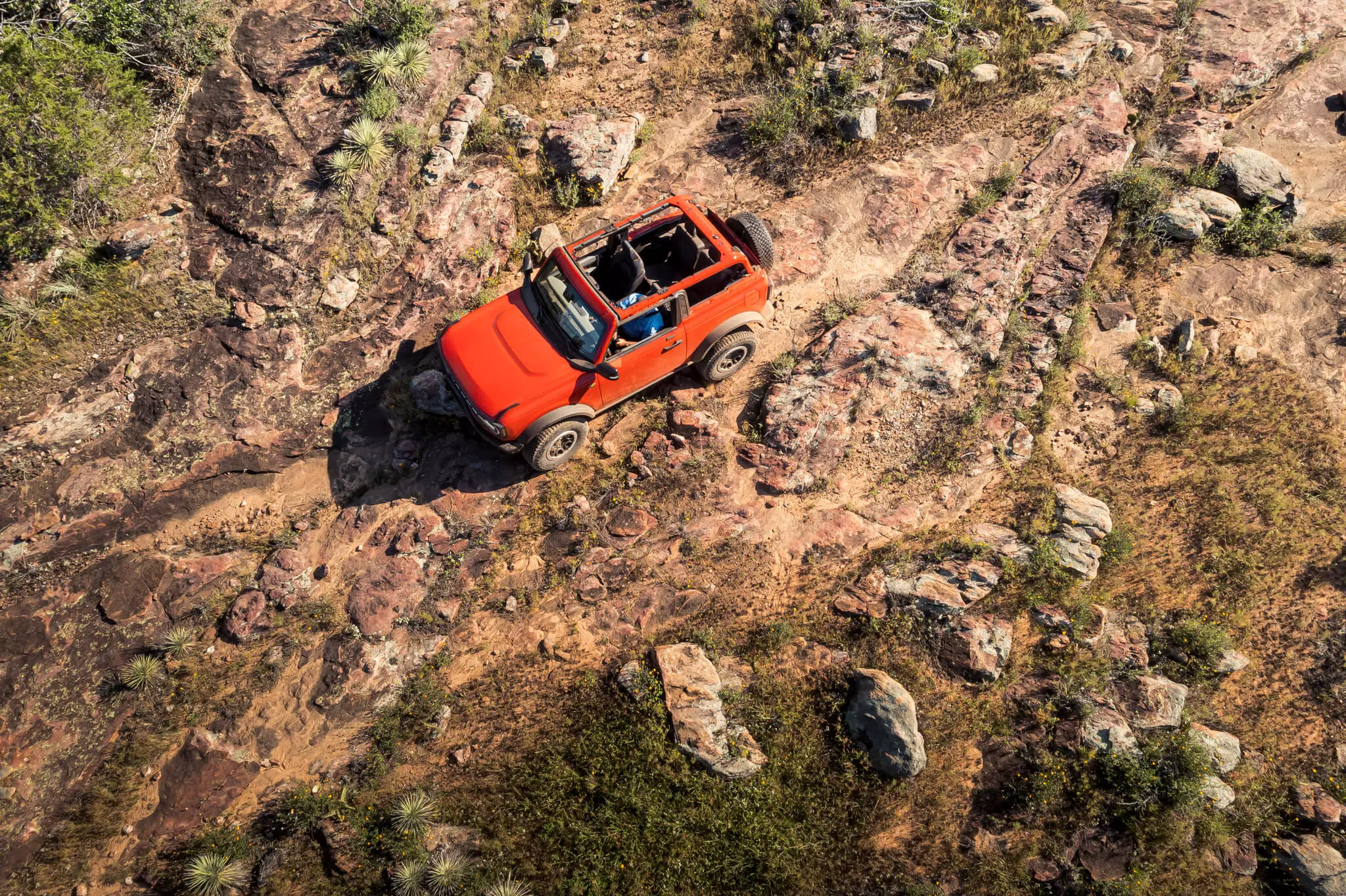 ក្រុមហ៊ុន Ford Bronco