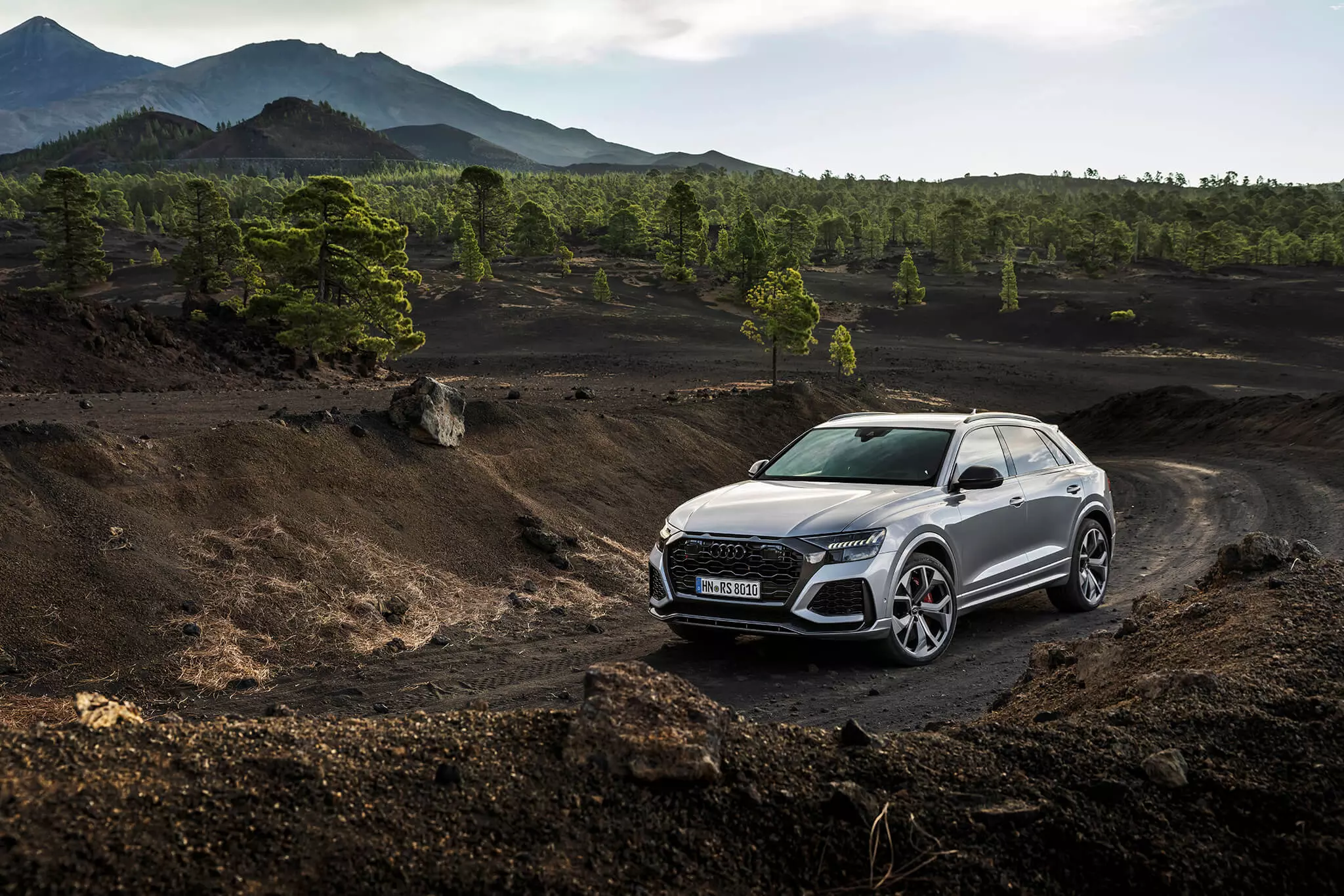 Audi RS Q8