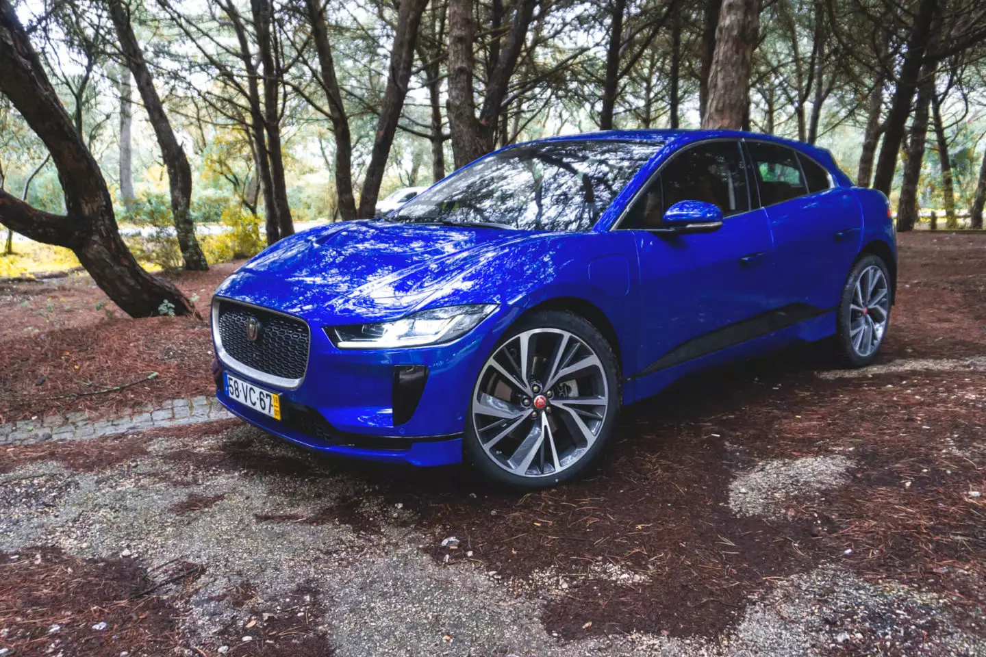 Jaguar Kuv-Pace