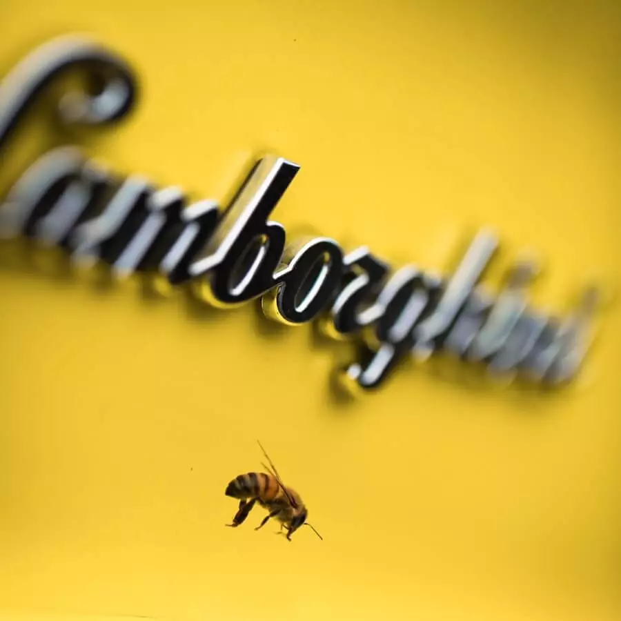 Lamborghini Bees