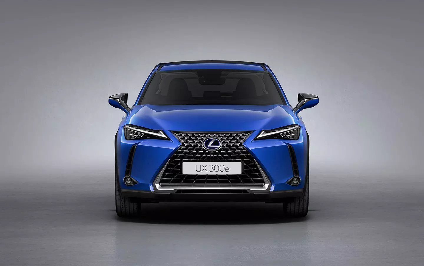 Lexus UX 300e Kab