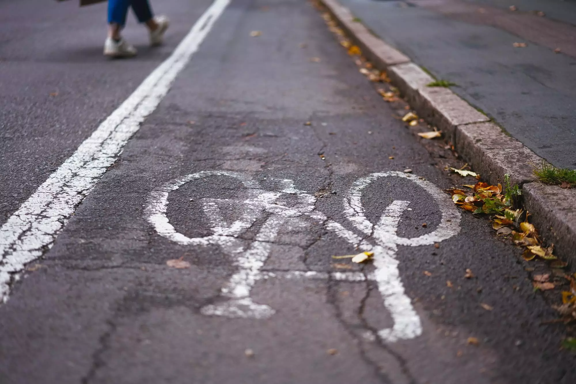 Carril bici