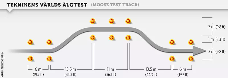 Losí test