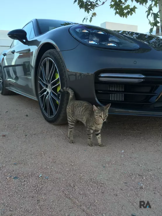 Porsche Panamera Turbo S E-Hybrid