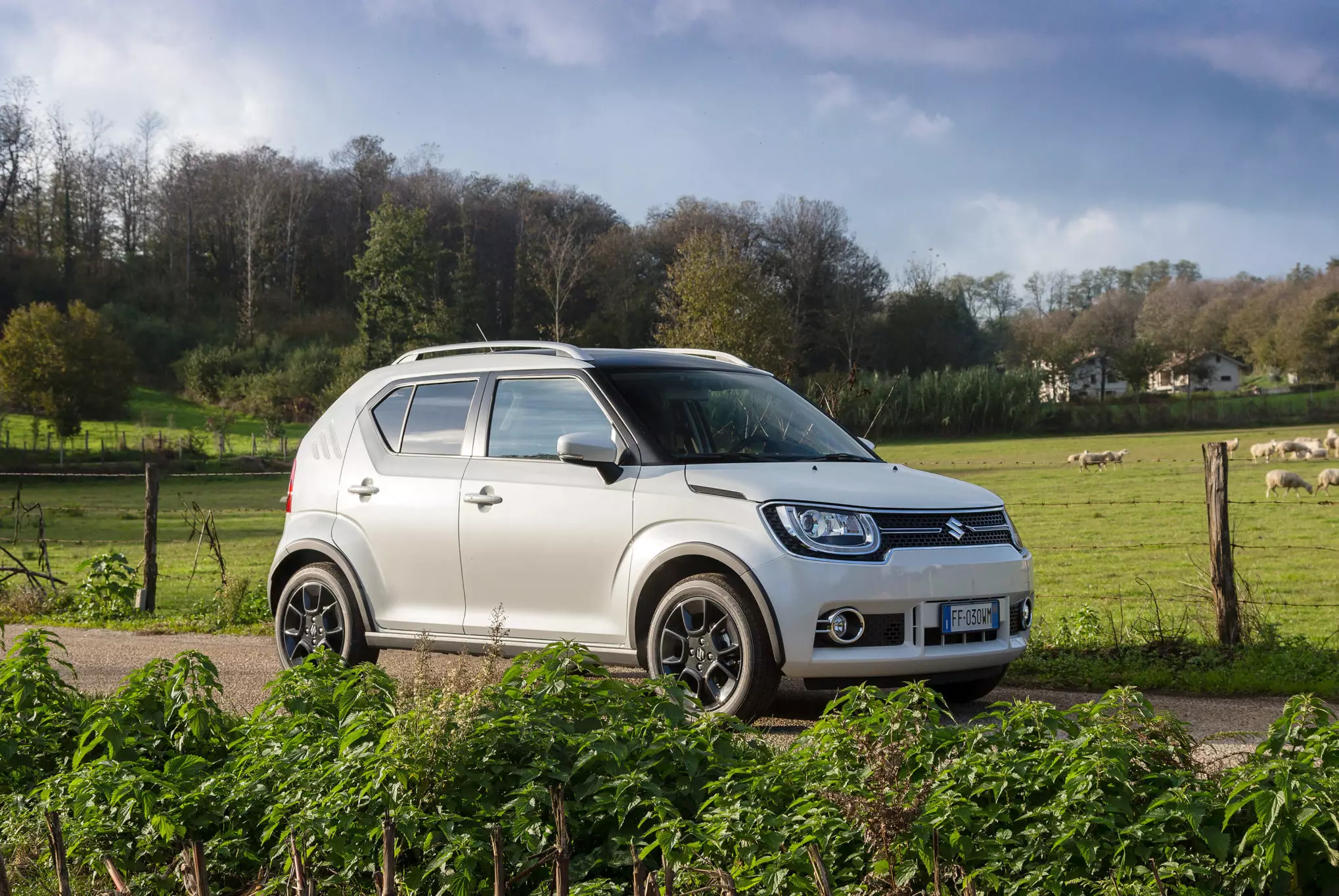 Suzuki Ignis