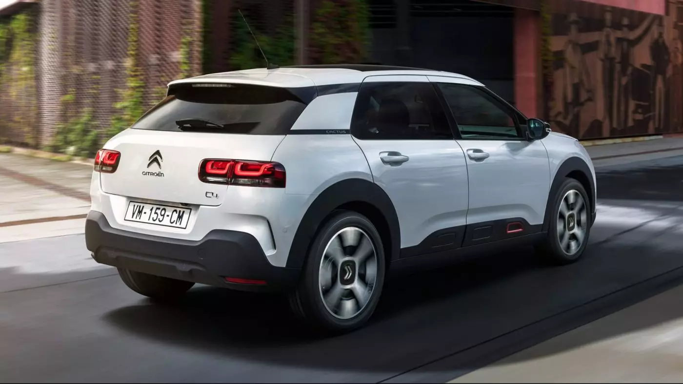 Citron C4 Cactus