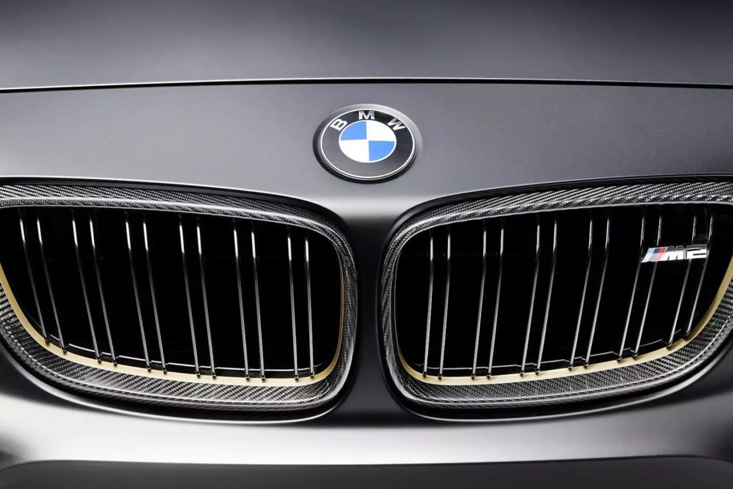 د BMW M فعالیت برخو مفهوم، BMW M2